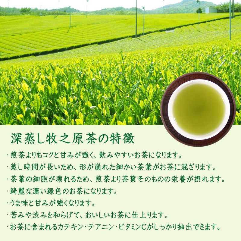 Shizuoka Prefecture Makinohara First Picked Tea 100% Green Tea Leaf