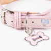 Collar Piel Perro Lujo Con Placa De Identificación Grabada