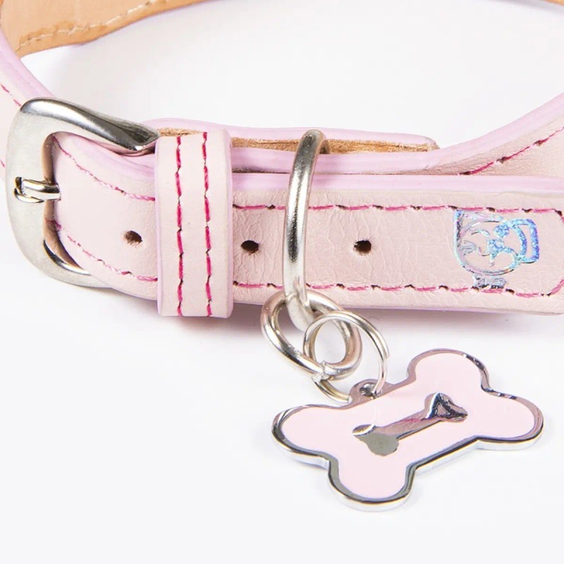 Collar Piel Perro Lujo Con Placa De Identificación Grabada