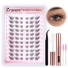 Cat Eye Lash Clusters Kit Natural Clusters Eyelashes Fox Eye