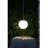 Noma Solar Hanging Sphere Light (Pack of 1)