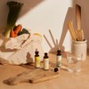 Bach Bach Original Flower Remedies Elm, Find Joy & Hope,