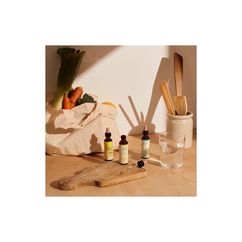Bach Bach Original Flower Remedies Elm, Find Joy & Hope,