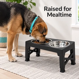 Adjustable Elevated Dog Feeder with Slow Feeder Bowl and Stainless Steel Bowl, 4-Height Foldable Raised Stand