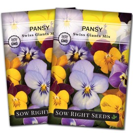 Sow Right Seeds - Swiss Giants Mix Pansy Flower Seeds for Planting - Colorful Blend to Plant in Your Garden - Non-GMO Heirloom Seeds with Instructions - Hardy Annual, Early Spring Favorite (2)