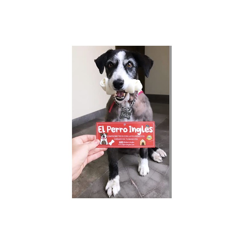 Huesos de Carnaza para Perros, Diferentes Tamaños, Excelente Calidad