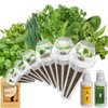 inbloom Herb Seed Pods Kit for AeroGarden, 7-Pods with Basil,