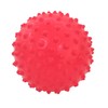 Edushape – ED 705176 – Large Sensory Ball Opaque