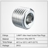 EVIL ENERGY 1/4" NPT Plugs Aluminum Socket Allen Head Silver,