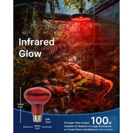 FLSNT 100W 2Pack Pet Lamp for Reptiles Glass Heat Bulbs Night Heat Lamps for Terrariums Ideal for Turtles, Leopard Gecko, Ball Python, Bearded Dragon, Snake and Chicken E26