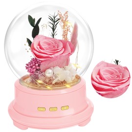JIGQGY Preserved Rose Flowers Gifts for Women, Forever Flower Gift with Bluetooth Speaker for Mother’s Day, Birthday, Anniversary, Weddings, Real Flowers Gifts for Mom, Wife, Daughter (Pink)