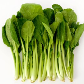 Komatsuna Mustard Seeds - Summer Fest - Hybrid - 1 Oz ~10600 Seeds - Non-GMO, F1 Hybrid - Asian Garden Vegetable & Herb Gardening