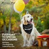 Parisian Pet Security Dog Bandana, Small