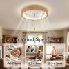Ceiling Fans with Lights, 20'' Ceiling Fans with Lights and