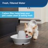 PetSafe Drinkwell Replacement Carbon Filters, Dog and Cat Ceramic and