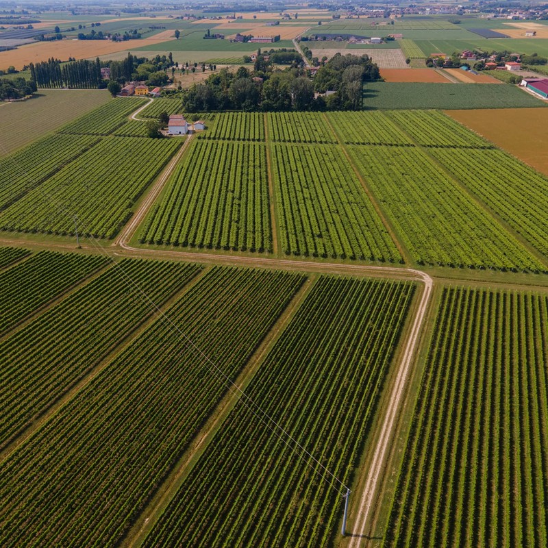 Mazzetti L'Originale Organic Balsamic Vinegar of Modena, Organic & Aged,