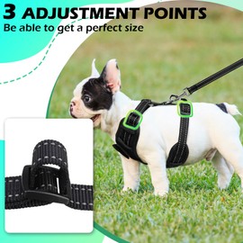 EXPAWLORER Dog Tuxedo Harness, Adjustable No Pull Pet Vest Harness with Leash Wedding Suit Attire with Bow Tie, Soft Padded Step-in Party Outfit Costume for Puppy Small Medium Dogs, Black S