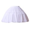 YULUOSHA Women Girls Crinoline Petticoat 2 Hoops Skirt Chiffon Ball
