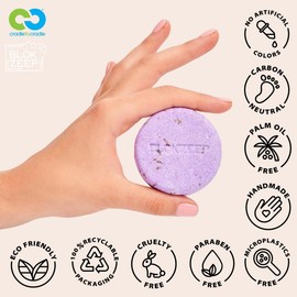 Paraben and Sulphate Free Solid Shampoo Natural Vegan Eco Friendly No Microplastics 5 Varieties for All Hair Types for Women Men Kids with Oil (Lavender)