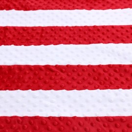 Minky Dot Plush USA Flag 24" x 36" Baby Blanket