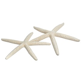 Starfish Decor - 2 Pack Large Star Fish 4-5 Inch - Starfish for Crafts - White Starfish Wall Décor - Beach Wedding Starfish - Beach Starfish Décor - Star Fish Decorations - Shells for Decoration