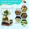 Coldairsoap Jumping Spider Magnetic Water Feeding Dish for Small Pets