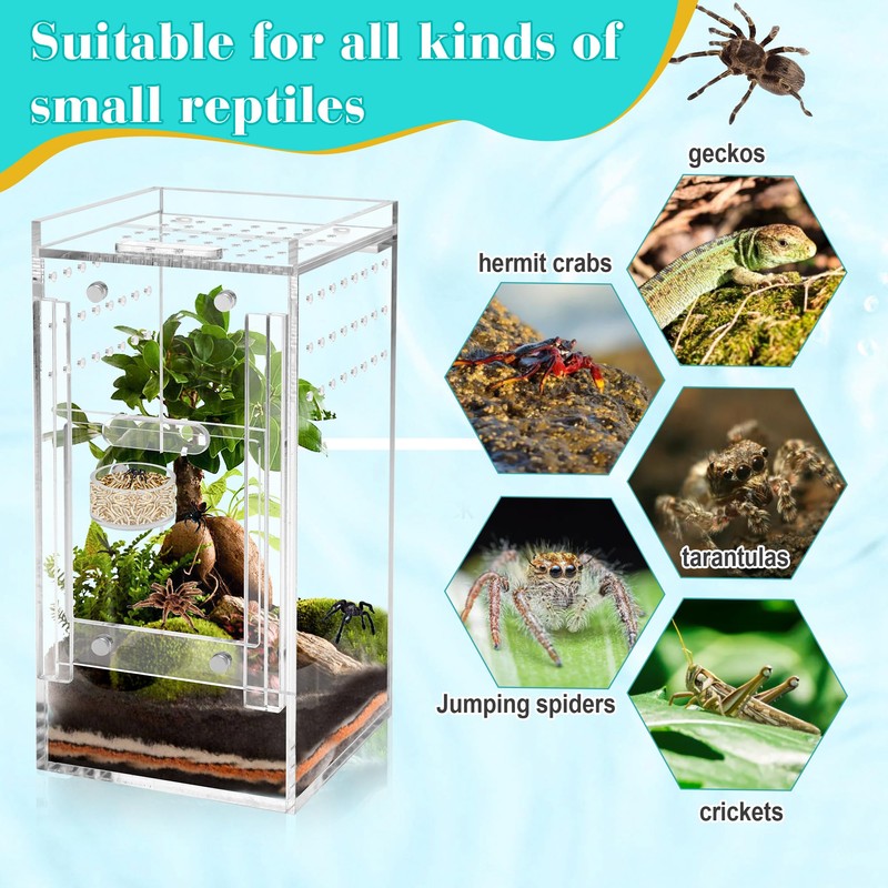 Coldairsoap Jumping Spider Magnetic Water Feeding Dish for Small Pets