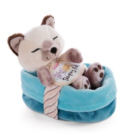 NICI 47893 Sleeping Pets, Kitties, Sleeping Cat, Siamese Cat in Basket, 12 cm