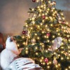 Salcar Christmas Tree Lights with Ring, Christmas Tree Throw-over Fairy
