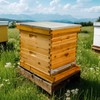 Beginner 10 Frame Bee Hive Beeswax Coated Includes Beehive Frames