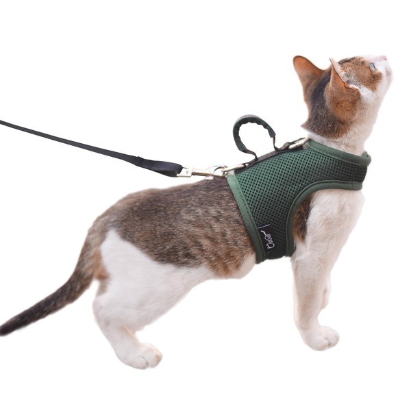 Kitty Harness and Leash for Walking Escape Proof Breathable Mesh