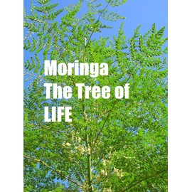 Pure 1/2 Pound of MORINGA Leaves - Pure & Natural ( 8 oz / 227g ) Raw Pouch. (.50 Lb)