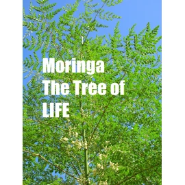 Pure 1/2 Pound of MORINGA Leaves - Pure & Natural ( 8 oz / 227g ) Raw Pouch. (.50 Lb)