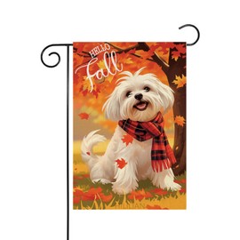 Hello Fall Garden Flag 12x18 Double Sided, Maltese-Dog Garden Flag Maple Leaves Fall Thanksgiving Outside Outdoor House Yard Decoration(6765)