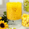 12oz Yellow Candy Jelly Beans Lemon Sweet Jelly Beans in