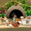 QUOZUO Hermit Crab Sea Shells Natural Coconut Shell Hut Artificial