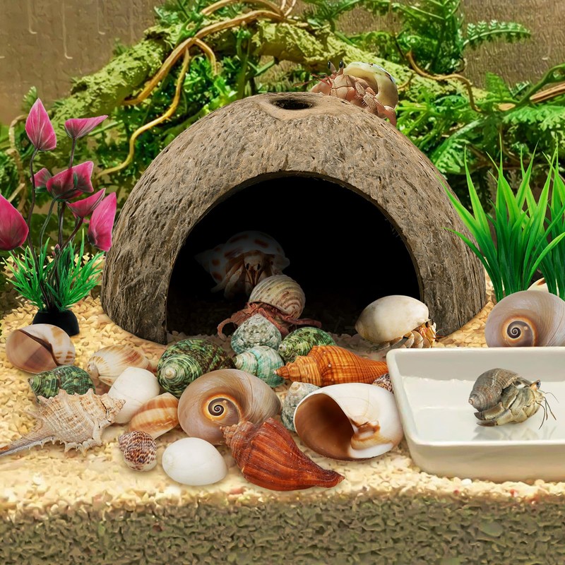 QUOZUO Hermit Crab Sea Shells Natural Coconut Shell Hut Artificial