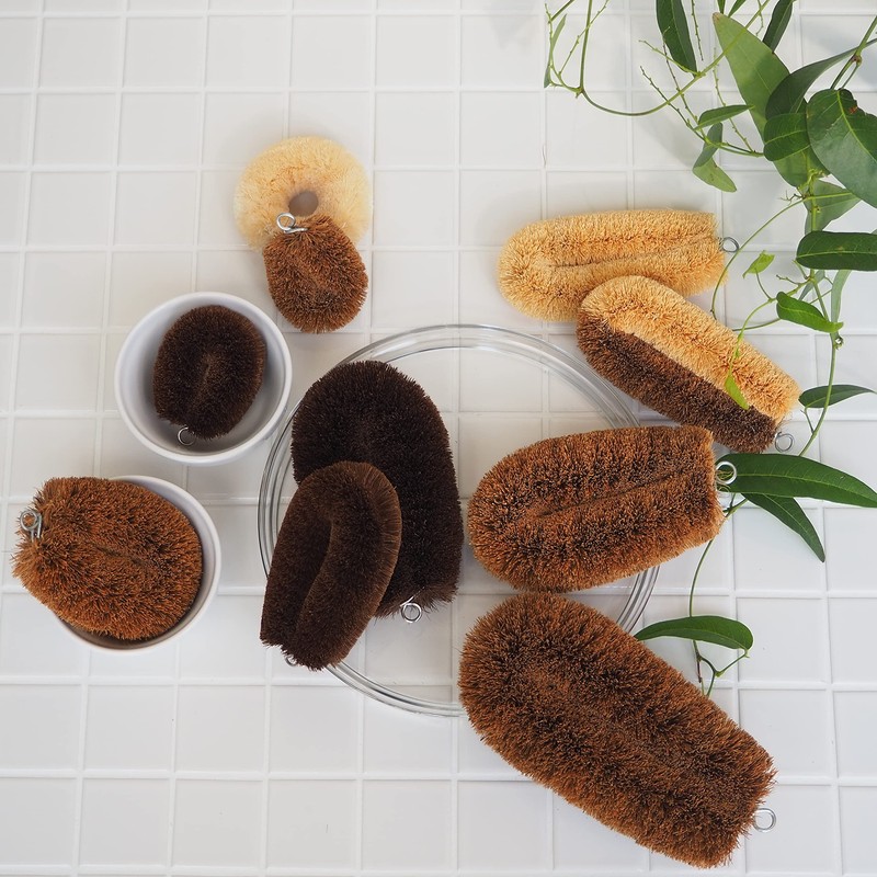 Turtle Baby Clean For Scrubber ha-hu・ha-dotawasi jtw30 Single item One 1pc