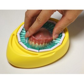 Adjust Denture Brush, Lemon DB01-02