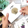 Fun Puns: 20 Assorted Blank All Occasions Notecards Depicting Fun