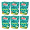 Fenjan Pure Spearmint Tea, Refreshing & Cooling, 20 Tea Bags