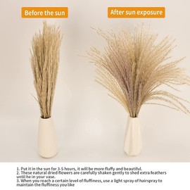 65PCS Pampas Grass Decor, Including pompas Floral, Reed Dried Grass and Bunny Tails Dried Flowers, Natural Dried Pampas Grass Bouquet for Boho Decor Wedding, Home Decoration