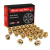 M14x1.5 OEM Factory Wheel Lug Nuts, Acorn Seat, Zinc, 24Pcs