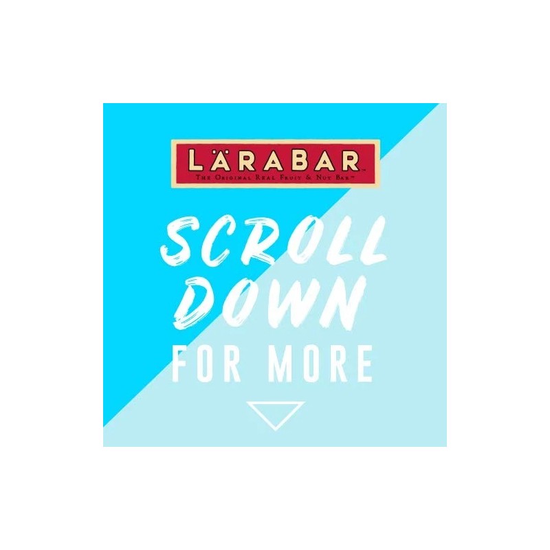 LÄRABAR LARABAR Pecan Pie Bar 1.6 oz (Pack of 16)