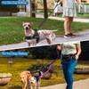 AUTOWT Double Leash for Two Small Dogs, No Tangle 360°