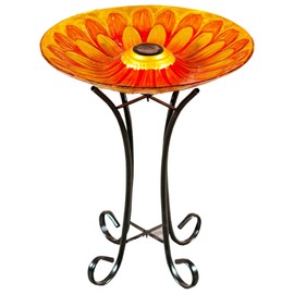 Hi- Line Gift 78415-A Solar Floral Glass Bird Bath with Stand