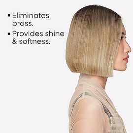 L'Oréal Professionnel Paris Champú Neutralizador Para pelo gris, blanco o rubio claro, Silver, SERIE EXPERT, 500ml