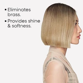 L'Oréal Professionnel Paris Champú Neutralizador Para pelo gris, blanco o rubio claro, Silver, SERIE EXPERT, 500ml