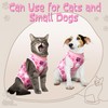 Cat Recovery Suit: Pink Cat Surgery Recovery Suit Female w/Paw
