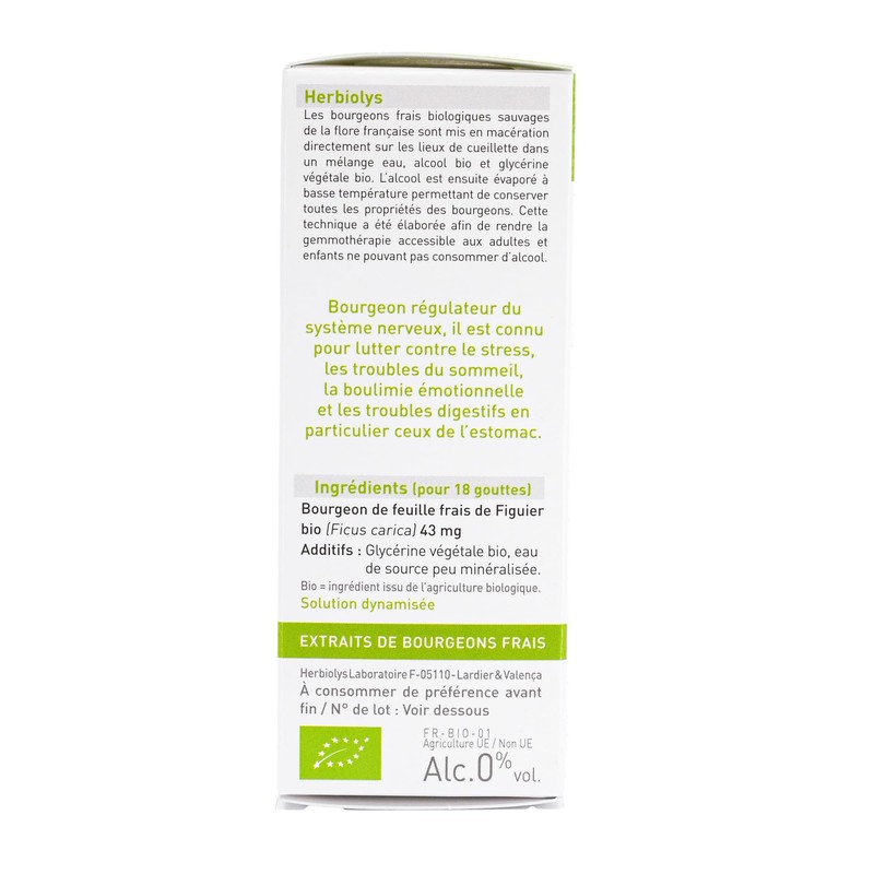 Organic Bud Macerate | Alcohol Free | Gemmotherapy | 30